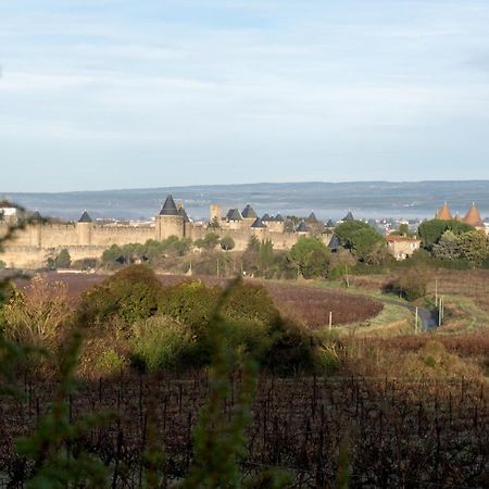 Villa Des Cathares Carcassonne Dış mekan fotoğraf