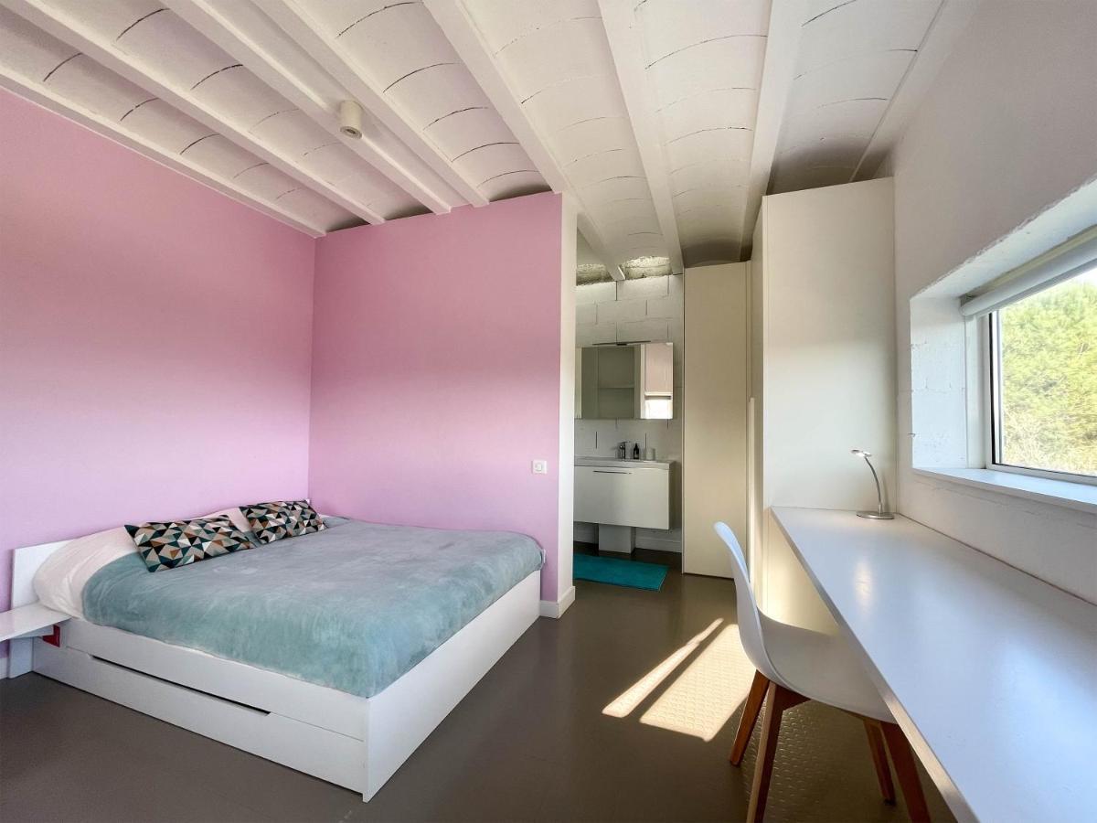 Villa Des Cathares Carcassonne Dış mekan fotoğraf