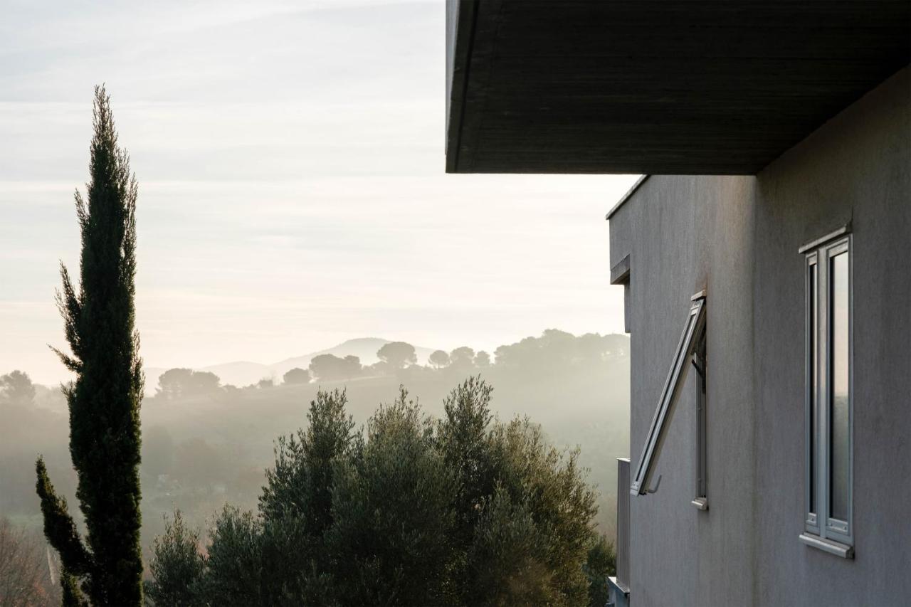 Villa Des Cathares Carcassonne Dış mekan fotoğraf