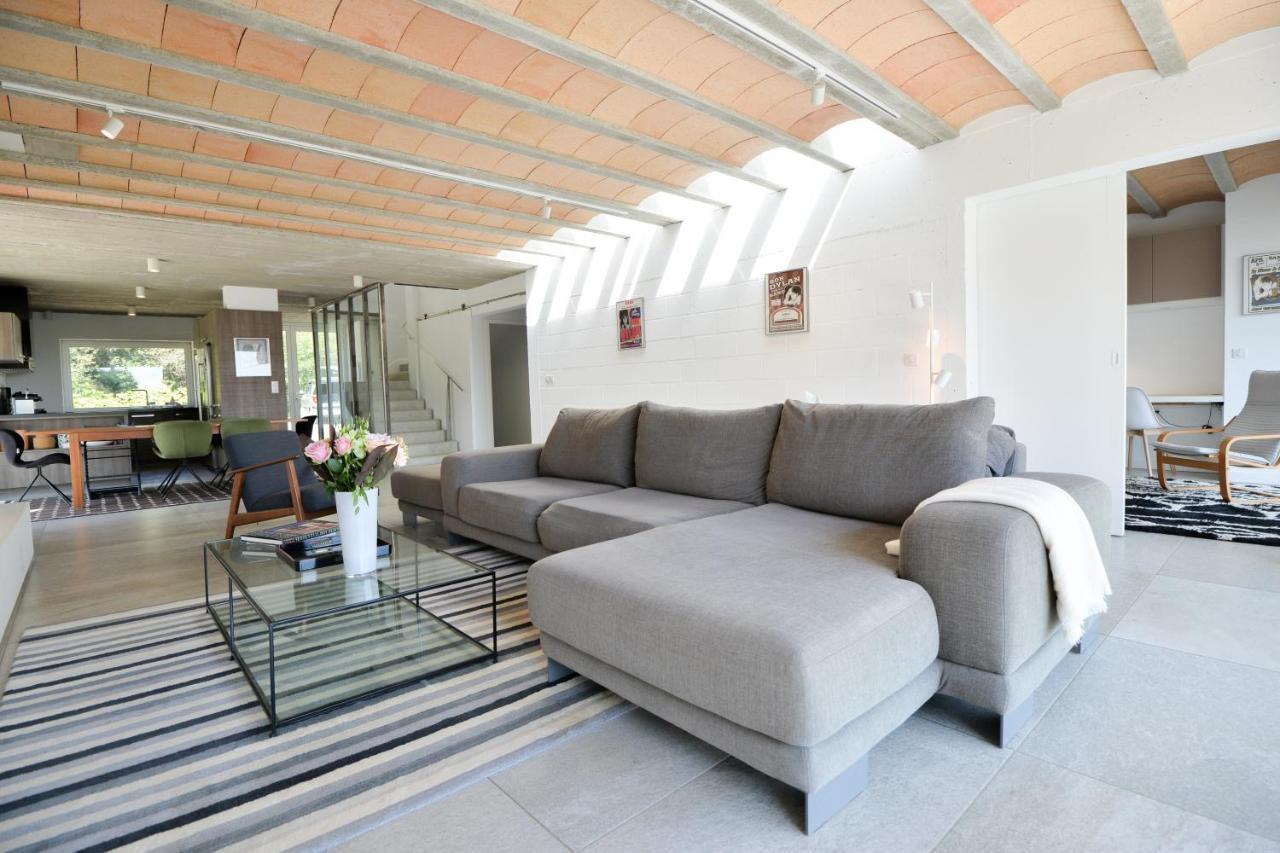 Villa Des Cathares Carcassonne Dış mekan fotoğraf