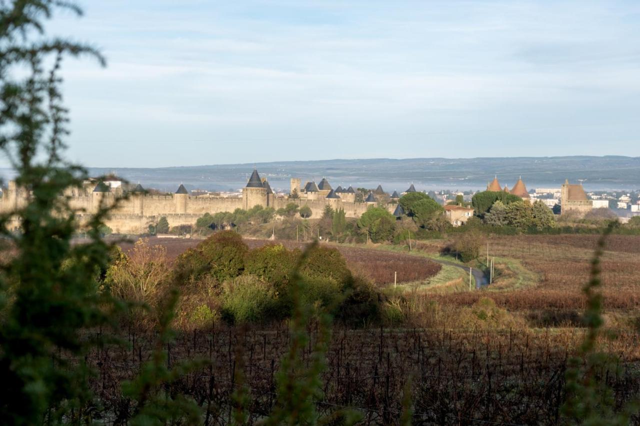 Villa Des Cathares Carcassonne Dış mekan fotoğraf