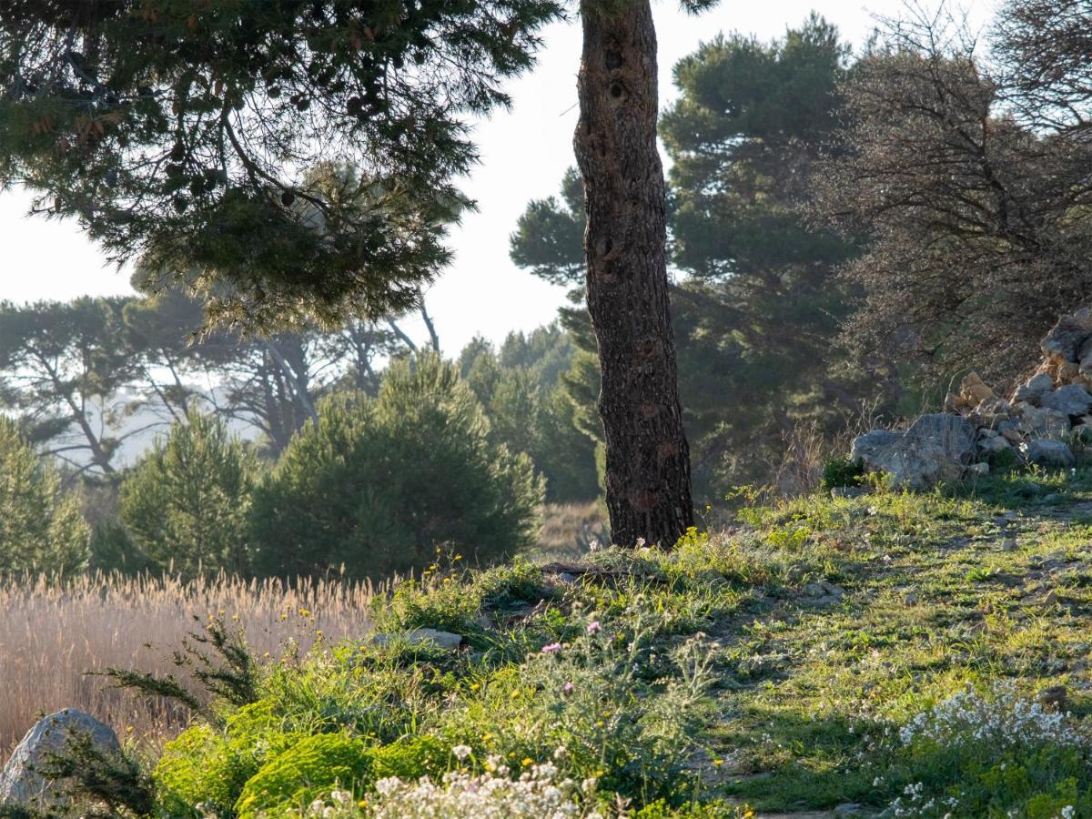Villa Des Cathares Carcassonne Dış mekan fotoğraf