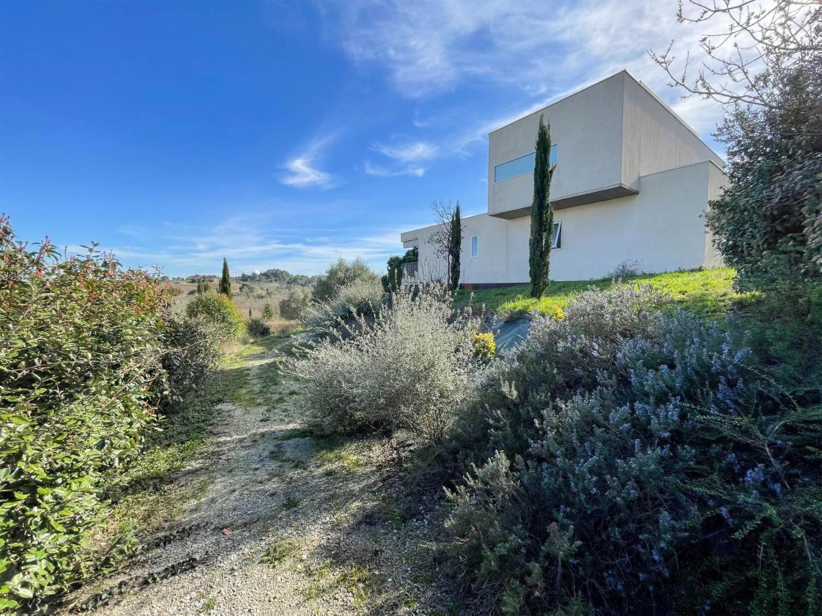 Villa Des Cathares Carcassonne Dış mekan fotoğraf