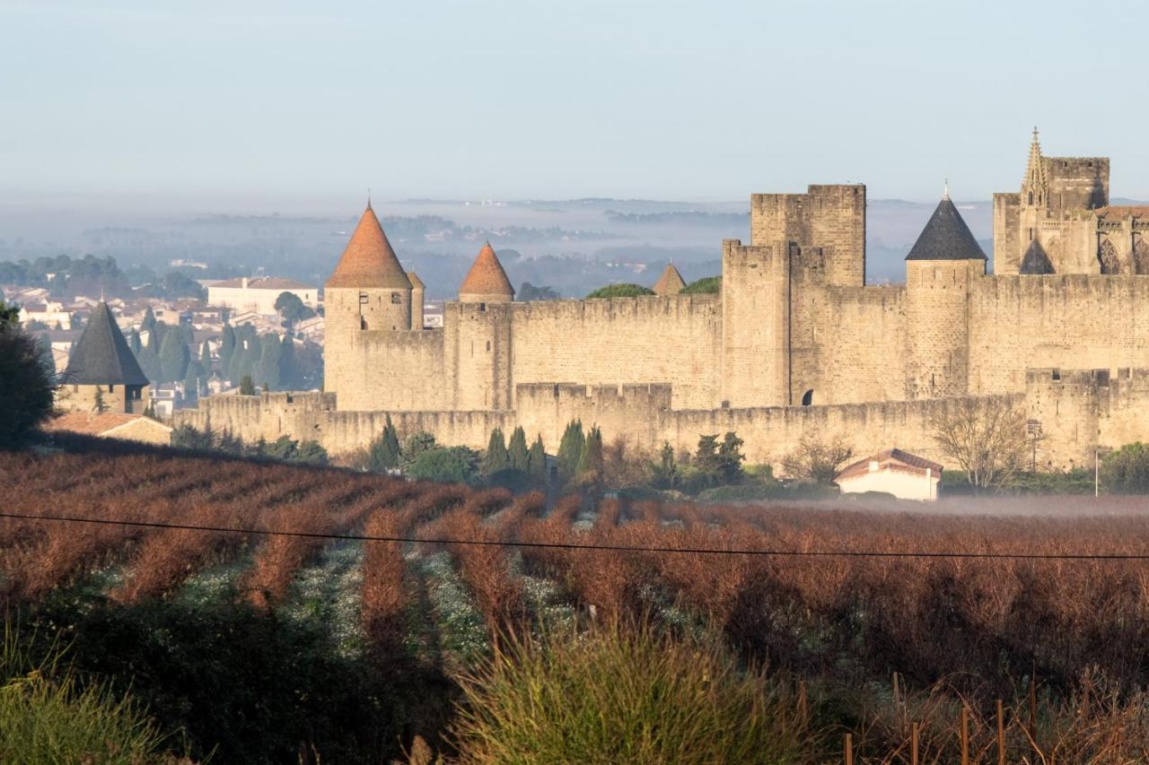 Villa Des Cathares Carcassonne Dış mekan fotoğraf
