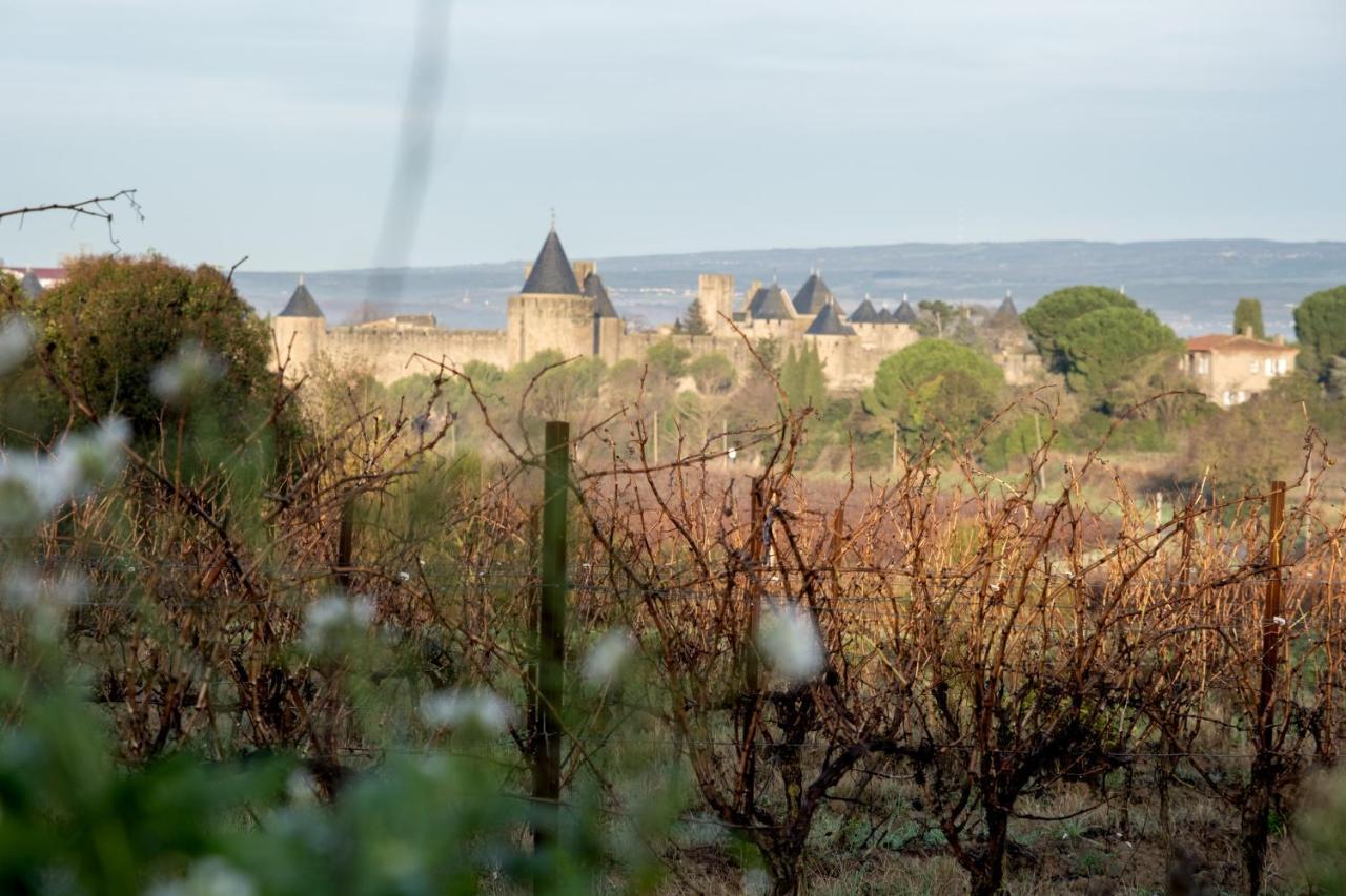 Villa Des Cathares Carcassonne Dış mekan fotoğraf